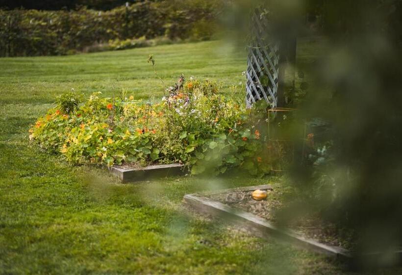 הוסטל The Village Inn