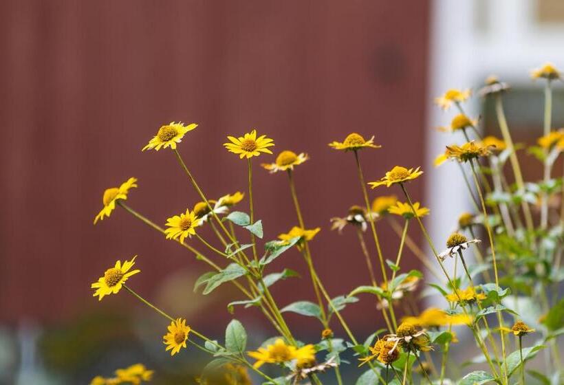 הוסטל The Village Inn