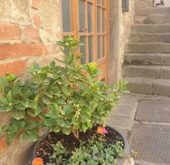 ペンション Helga S House  Una Finestra Sul Borgo