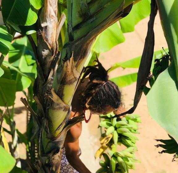 Albergue Pousada Tangerina