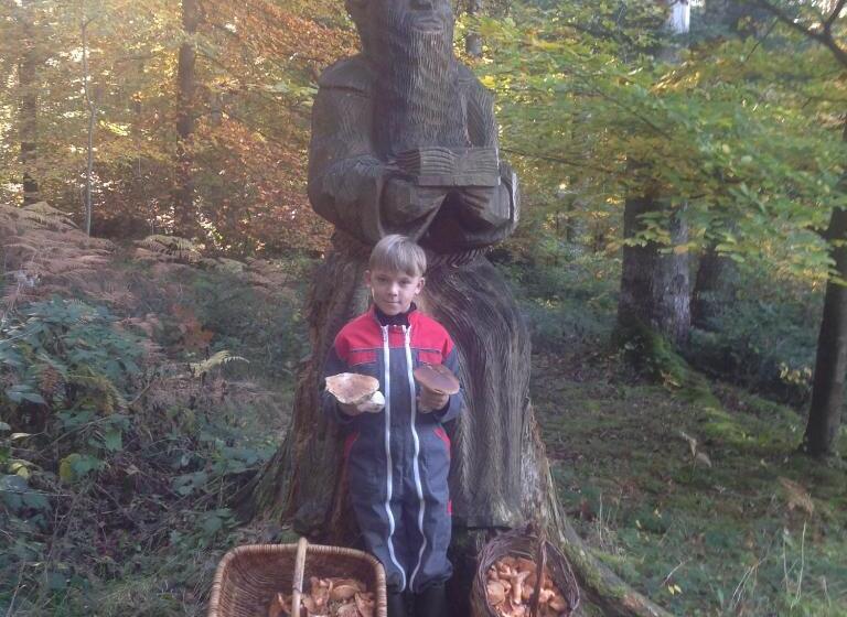 ベッドアンドブレックファースト La Freycenette