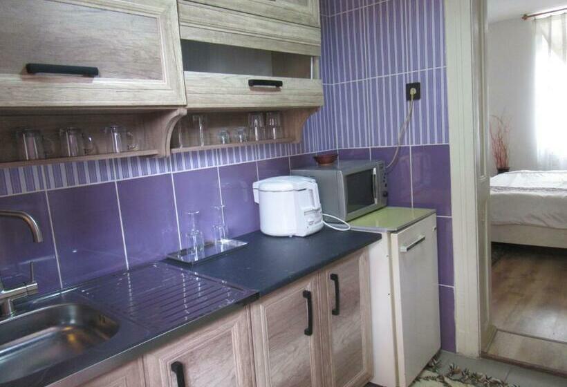 بنسيون Bercsényi Vendégház