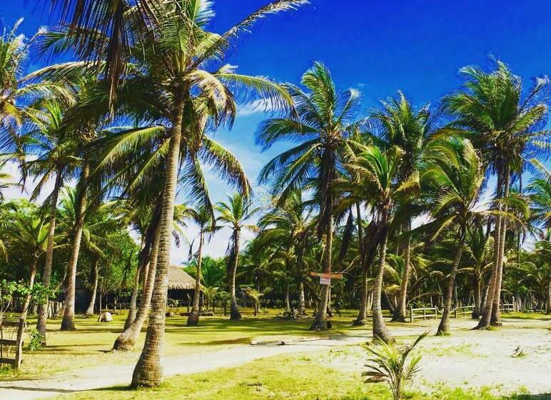 膳宿费 Criollo Beach Camp