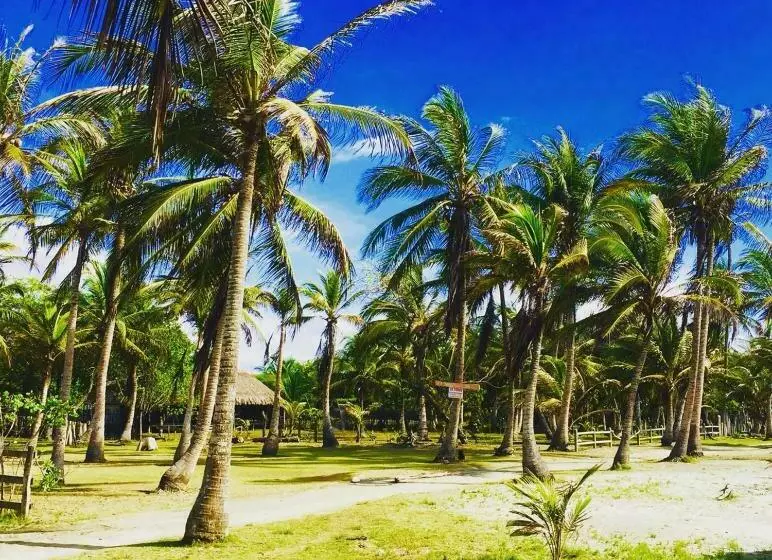 ペンション Criollo Beach Camp