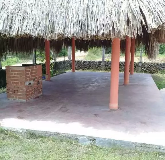 ペンション Criollo Beach Camp