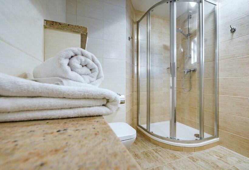 Pension Jana   Wellness