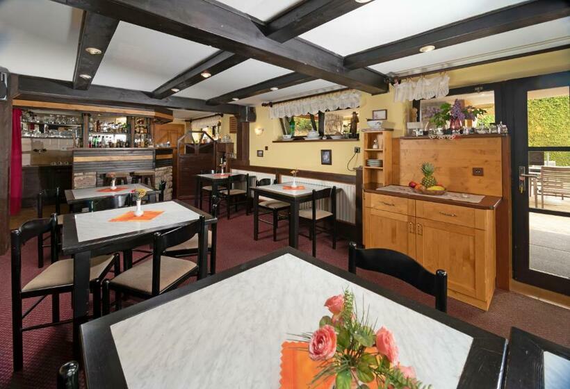 Pension Jana   Wellness