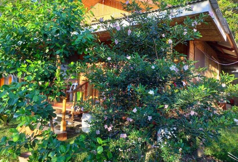 Sam S Bed And Breakfast