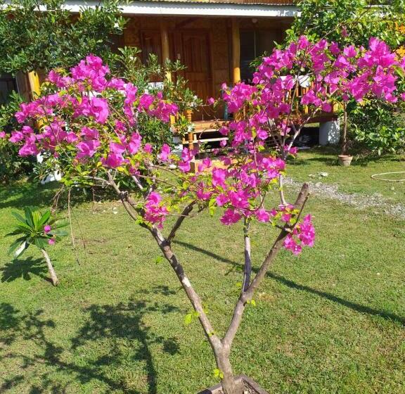 Sam S Bed And Breakfast