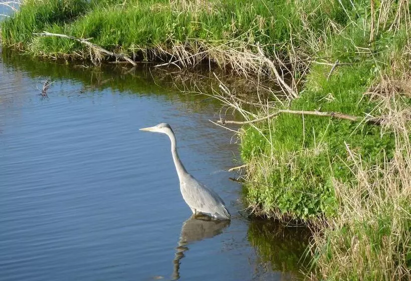 فندق Het Wapen Van Enkhuizen