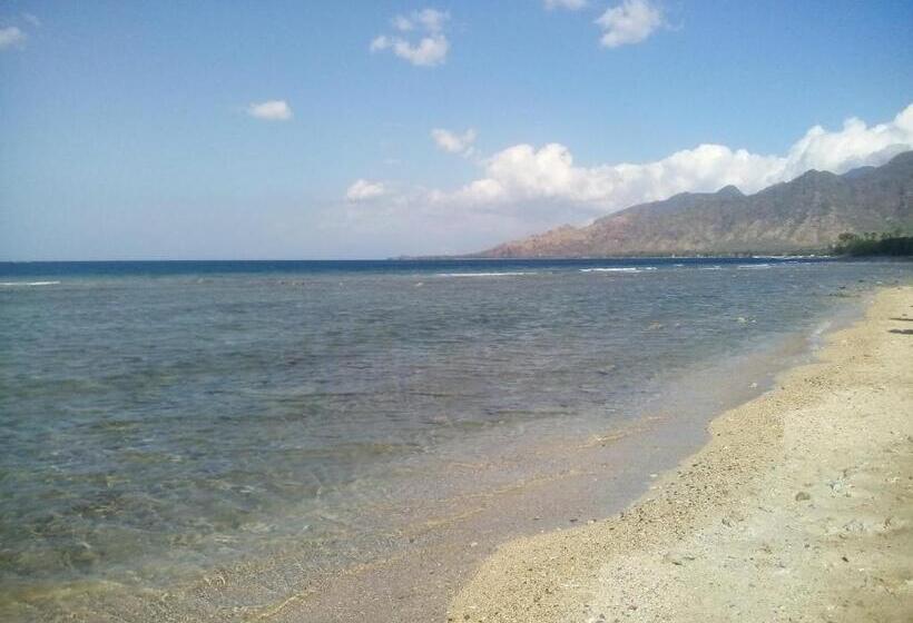 Отель Krisna Homestay