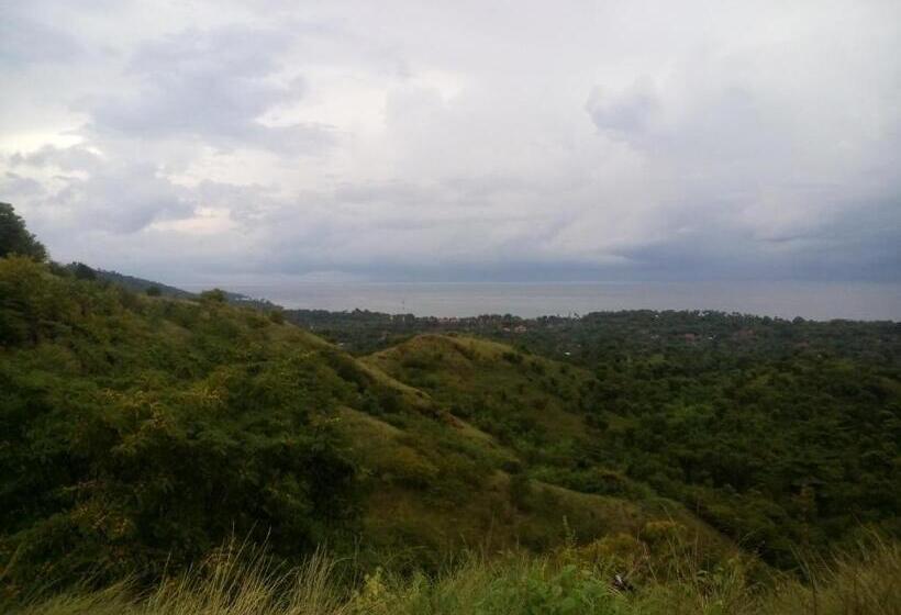 Отель Krisna Homestay