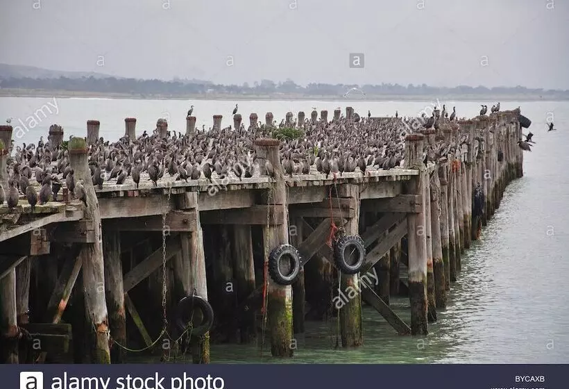 هتل The Mews Oamaru