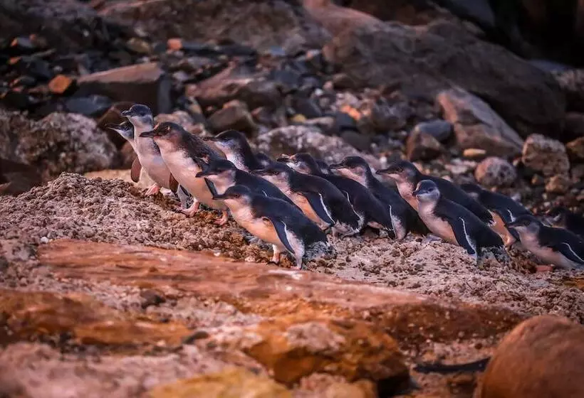 هتل The Mews Oamaru