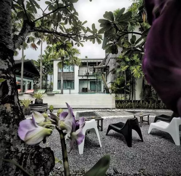 هتل Paragon Inn