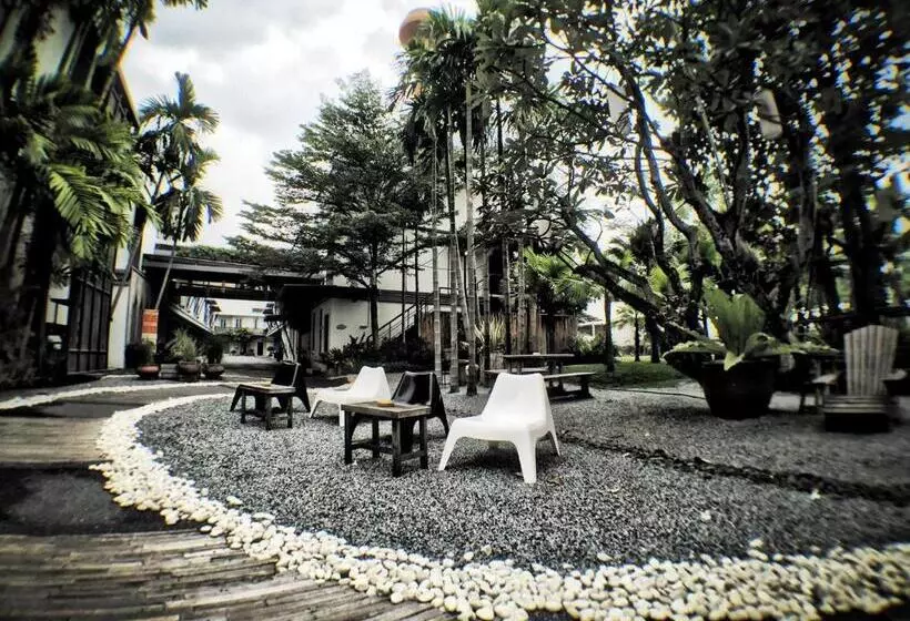 هتل Paragon Inn