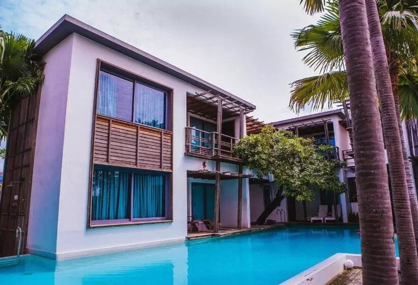 هتل Paragon Inn