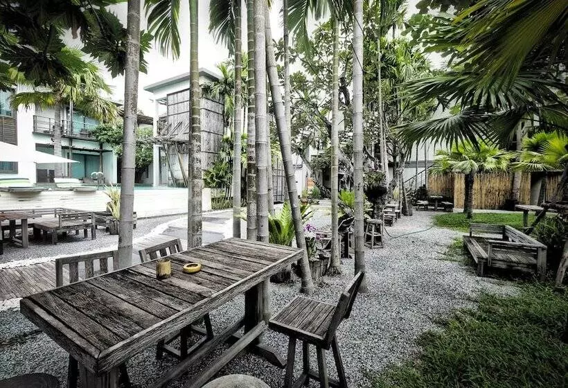 هتل Paragon Inn