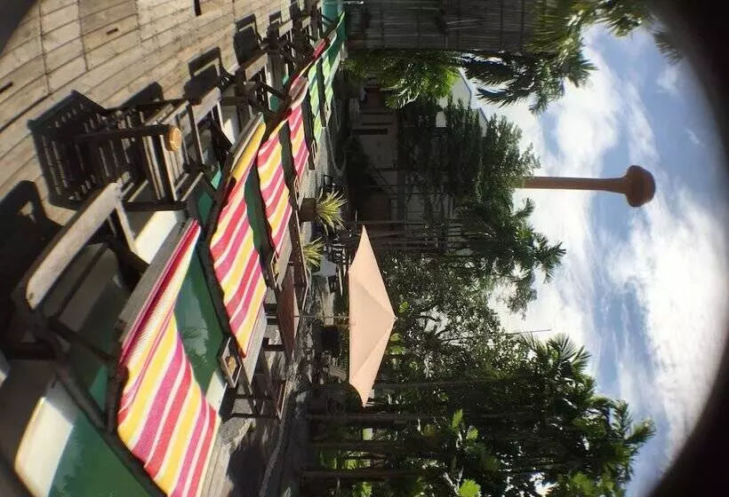 هتل Paragon Inn