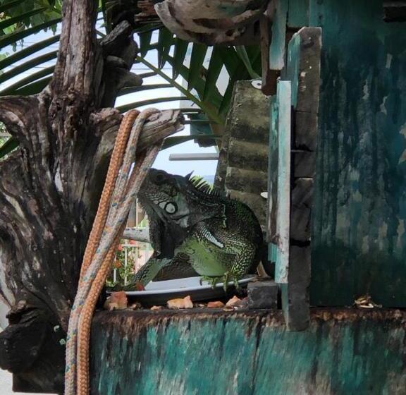 Hostel Pousada Solar Das Gaivotas