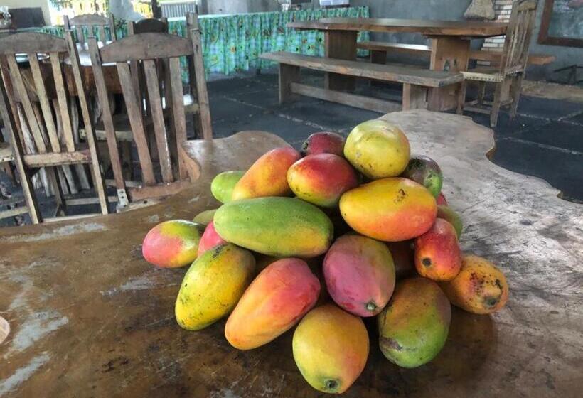 Hostel Pousada Solar Das Gaivotas