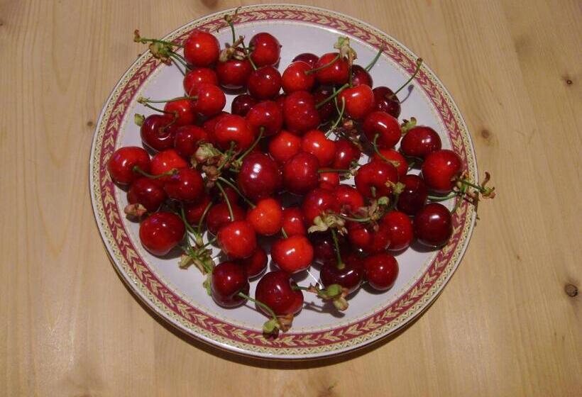 ベッドアンドブレックファースト La Pantoufle Verte