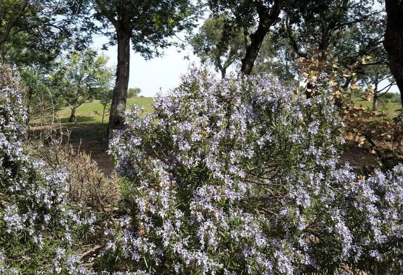 ベッドアンドブレックファースト La Pantoufle Verte