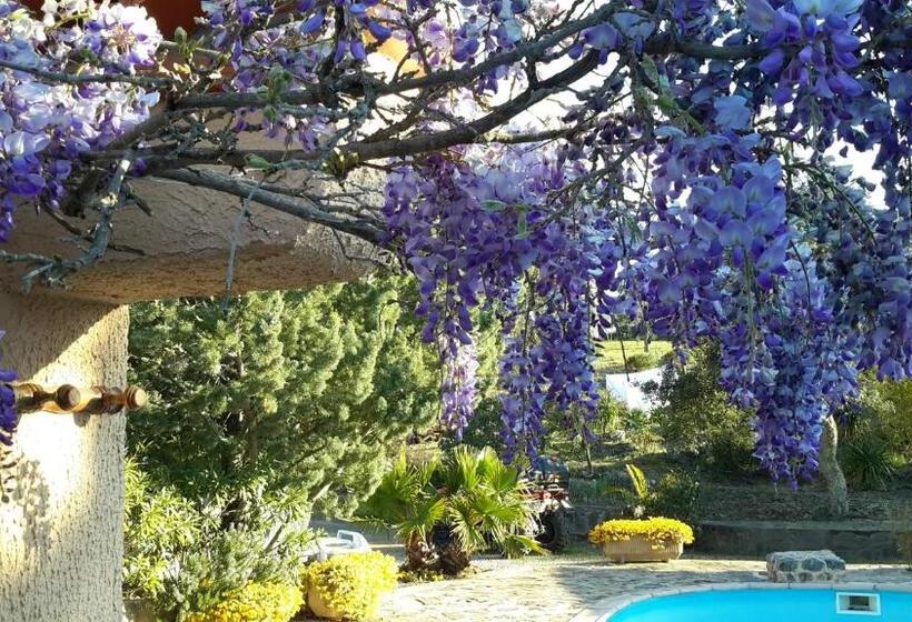 ベッドアンドブレックファースト La Pantoufle Verte