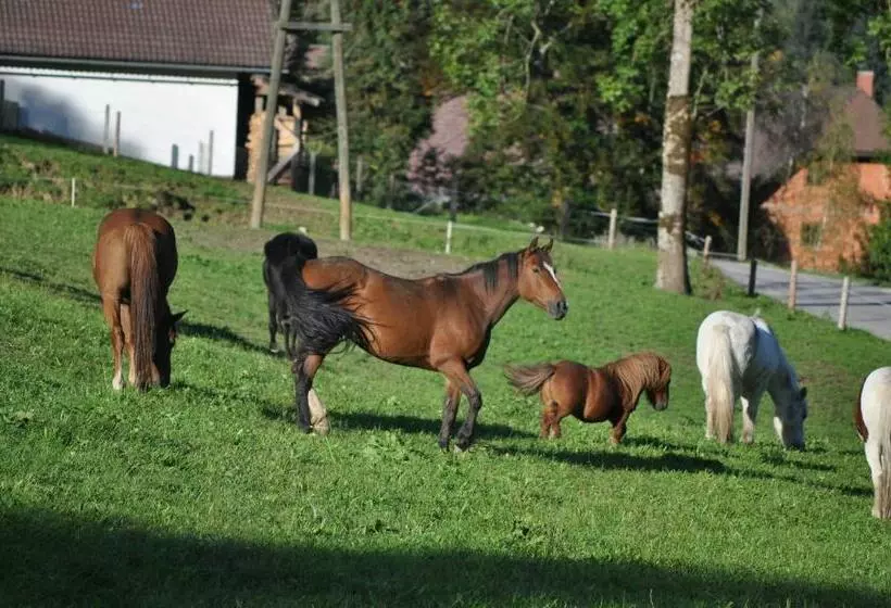 Ferienhotel Gut Enghagen