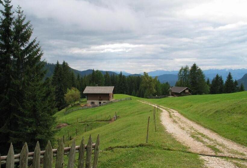 فندق Plafãƒâ¶tschalm