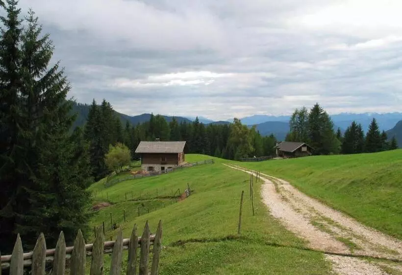 Hotelli Plafãƒâ¶tschalm