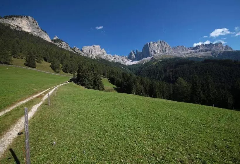 Hotelli Plafãƒâ¶tschalm