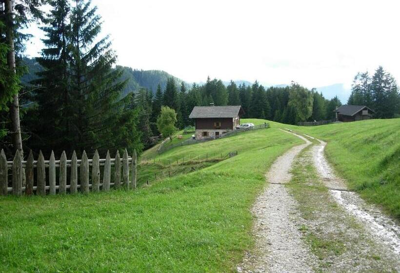 فندق Plafãƒâ¶tschalm