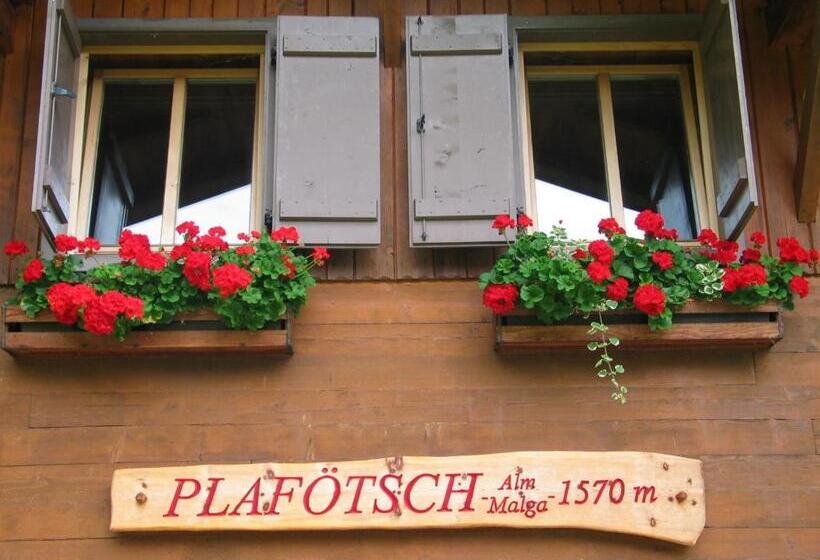 فندق Plafãƒâ¶tschalm