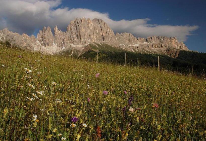 فندق Plafãƒâ¶tschalm