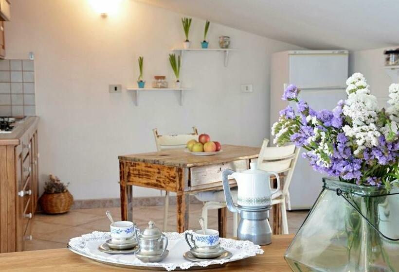 بنسيون Anemone Guest House