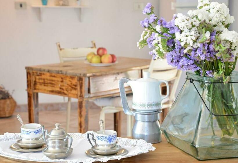 بنسيون Anemone Guest House