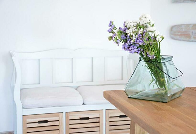 بنسيون Anemone Guest House