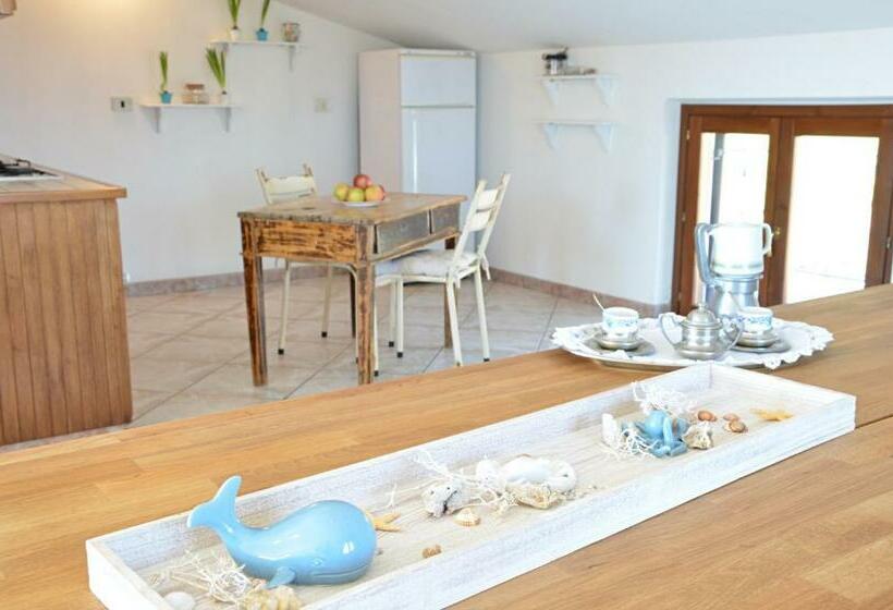 بنسيون Anemone Guest House