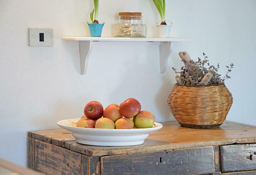 بنسيون Anemone Guest House