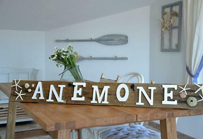 بنسيون Anemone Guest House