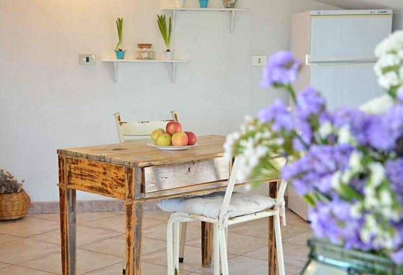 بنسيون Anemone Guest House