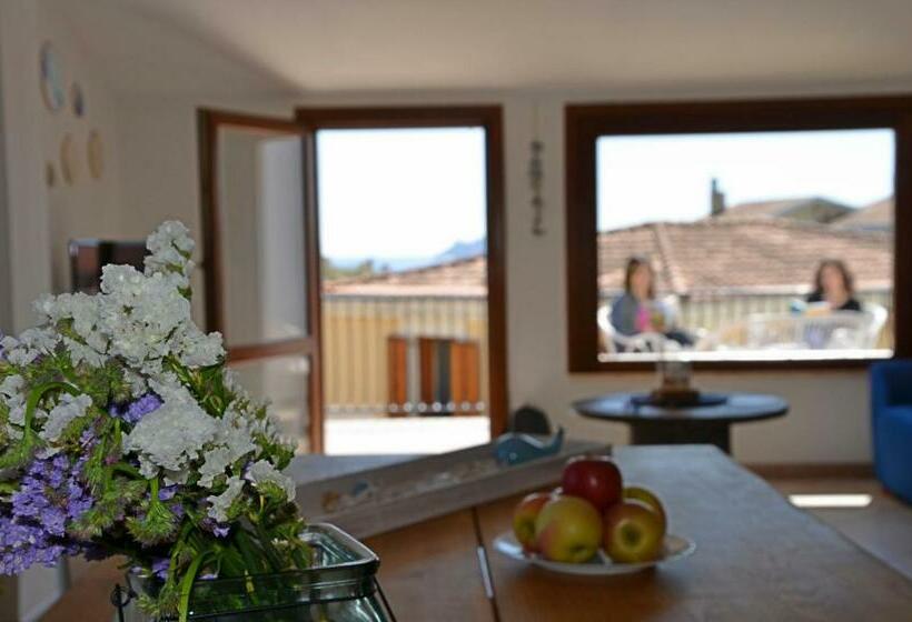 بنسيون Anemone Guest House