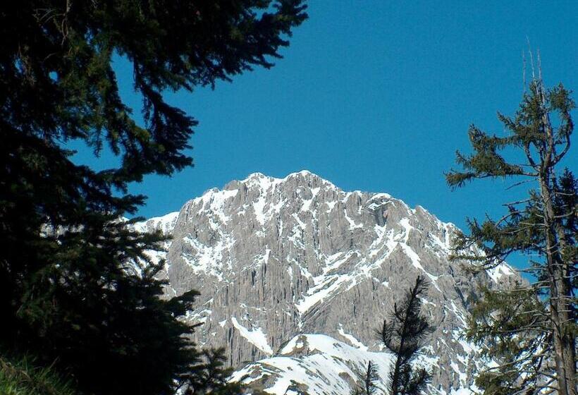 膳宿费 Gasthof Zur Gemütlichkeit