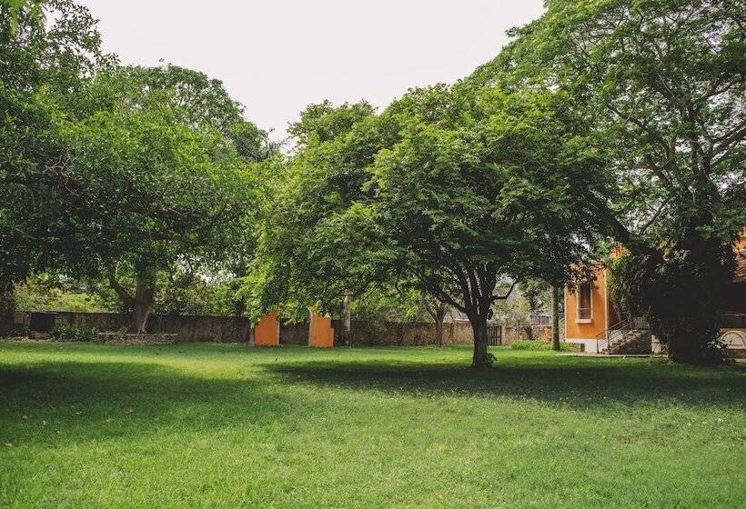 هتل Full Hacienda Santuario Noc Ac