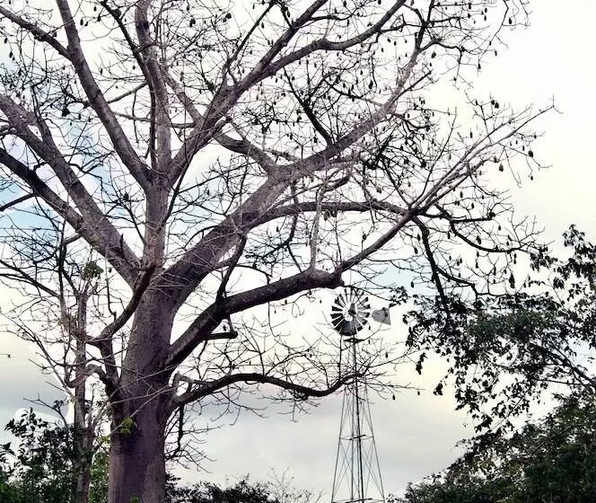 ホテル Full Hacienda Santuario Noc Ac