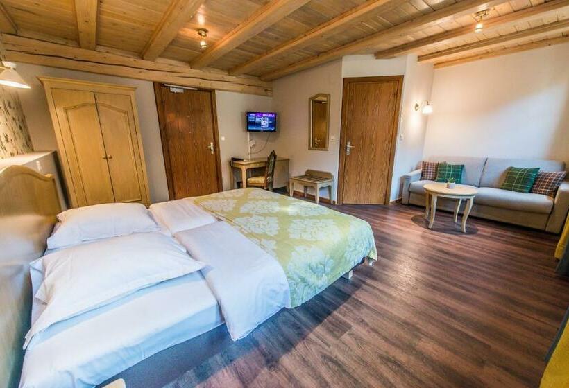 酒店 Hôtel Au Lion