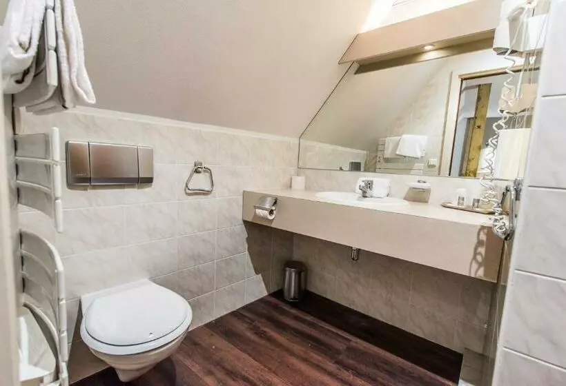 هتل Hôtel Au Lion