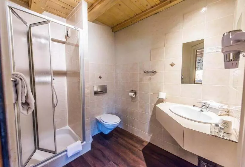 هتل Hôtel Au Lion