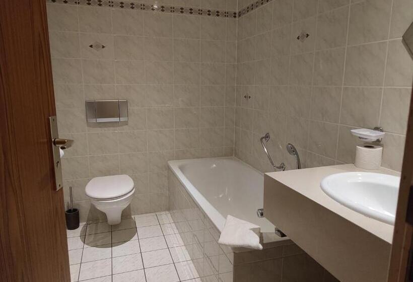 酒店 Hôtel Au Lion